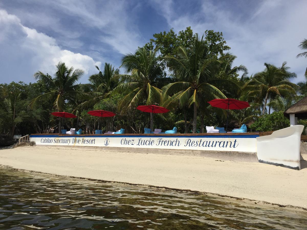 Cabilao Sanctuary Beach & Dive Resort Loon Extérieur photo