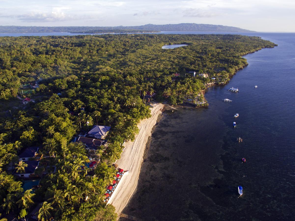 Cabilao Sanctuary Beach & Dive Resort Loon Extérieur photo
