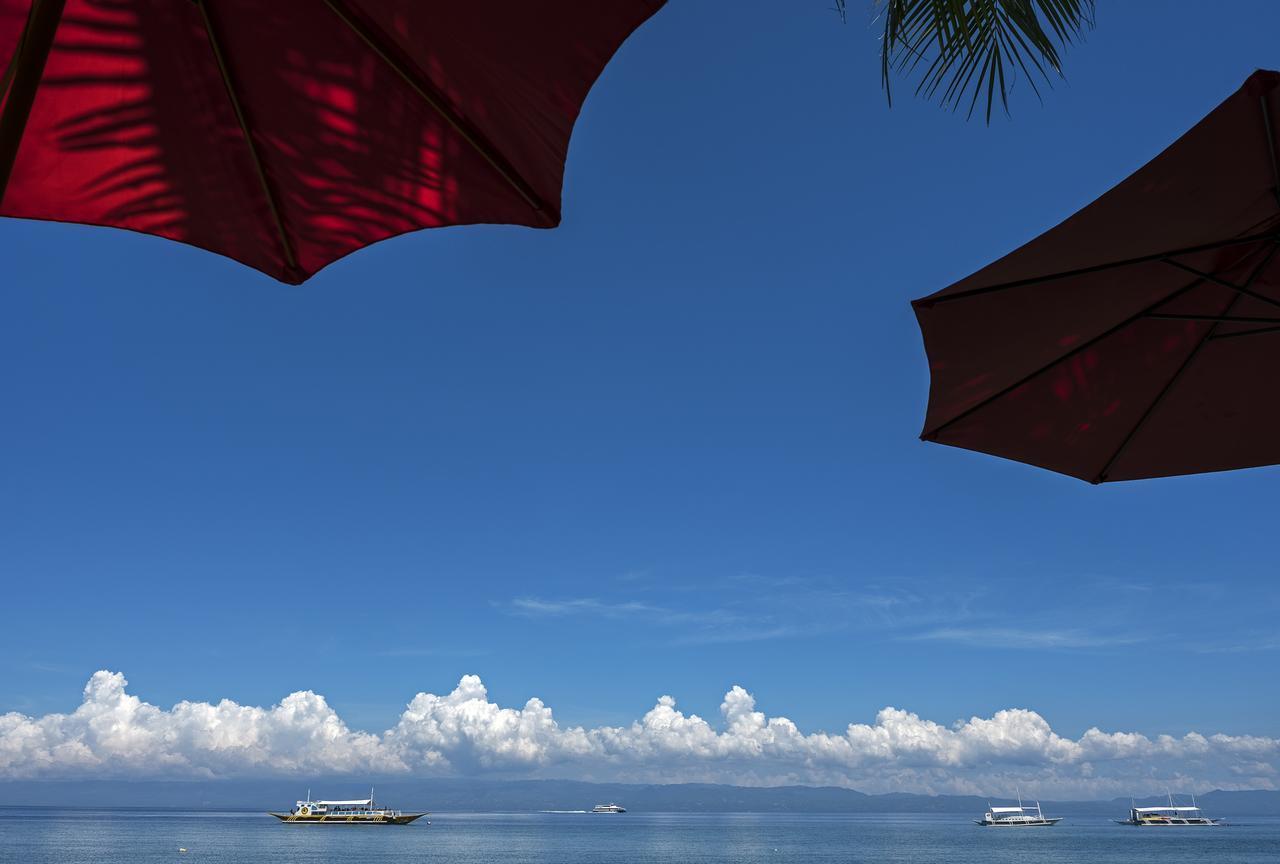Cabilao Sanctuary Beach & Dive Resort Loon Extérieur photo